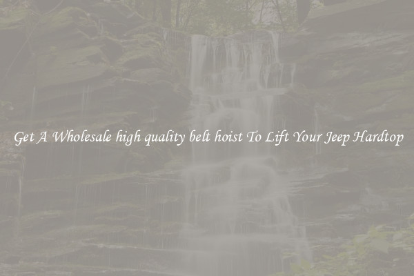 Get A Wholesale high quality belt hoist To Lift Your Jeep Hardtop