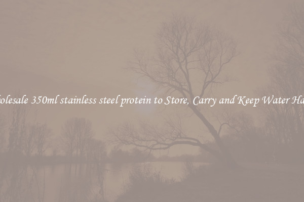 Wholesale 350ml stainless steel protein to Store, Carry and Keep Water Handy