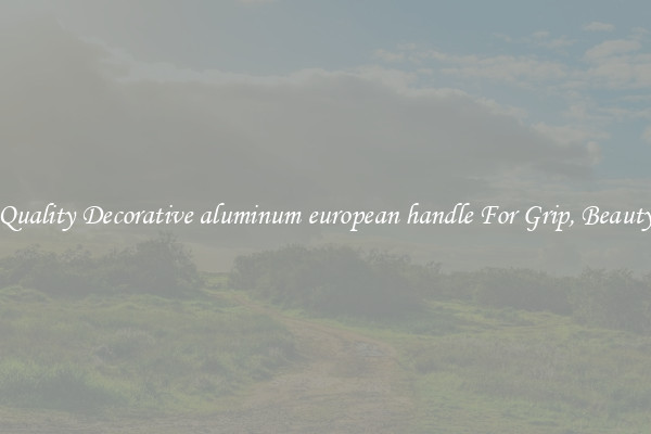 Quality Decorative aluminum european handle For Grip, Beauty