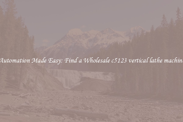  Automation Made Easy: Find a Wholesale c5123 vertical lathe machine 
