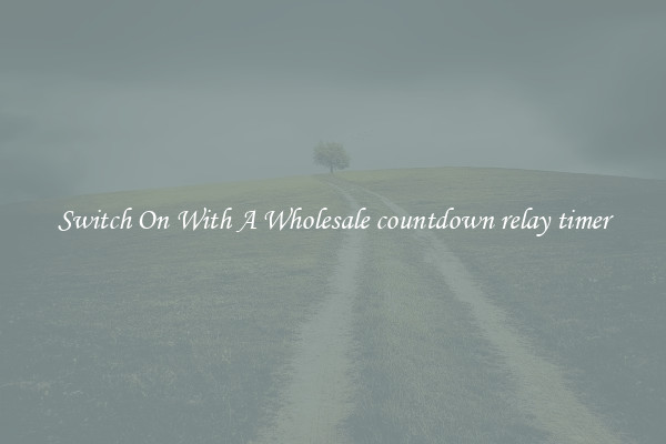 Switch On With A Wholesale countdown relay timer