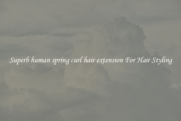 Superb human spring curl hair extension For Hair Styling