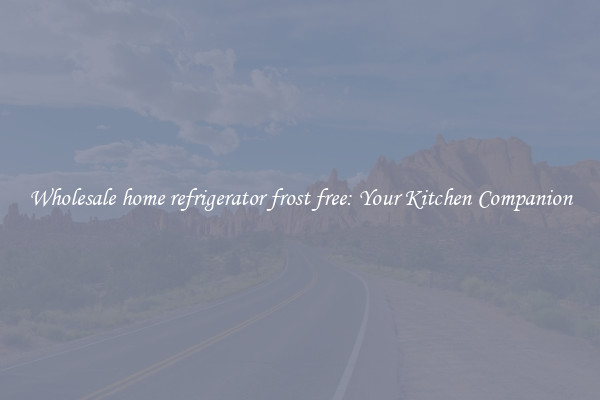 Wholesale home refrigerator frost free: Your Kitchen Companion
