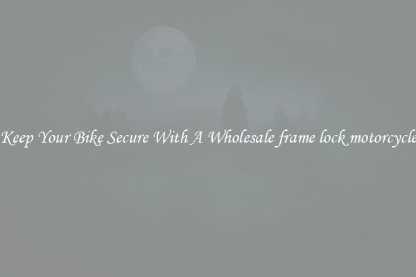 Keep Your Bike Secure With A Wholesale frame lock motorcycle