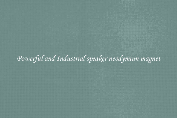 Powerful and Industrial speaker neodymiun magnet