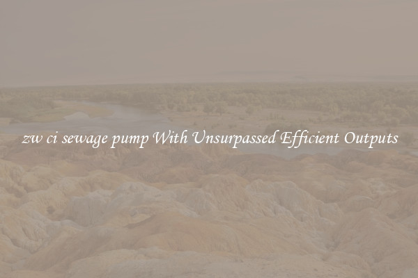 zw ci sewage pump With Unsurpassed Efficient Outputs