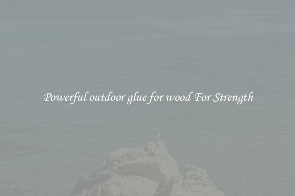 Powerful outdoor glue for wood For Strength