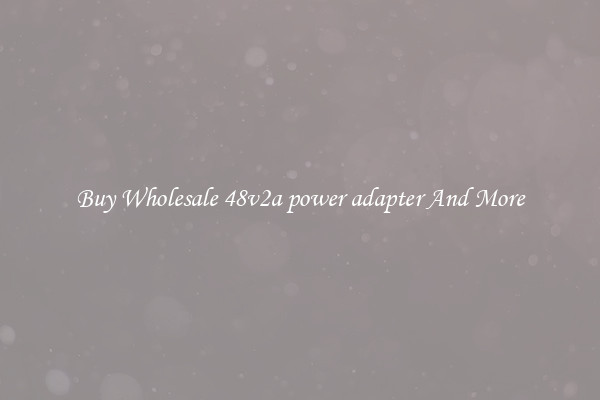 Buy Wholesale 48v2a power adapter And More