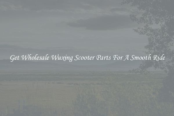 Get Wholesale Wuxing Scooter Parts For A Smooth Ride