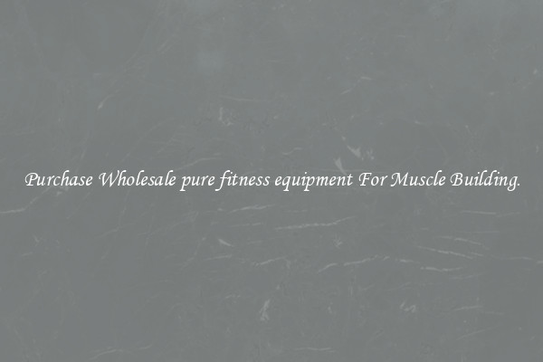 Purchase Wholesale pure fitness equipment For Muscle Building.