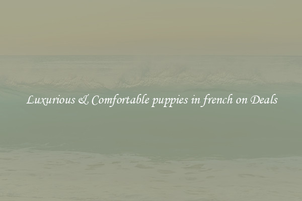 Luxurious & Comfortable puppies in french on Deals
