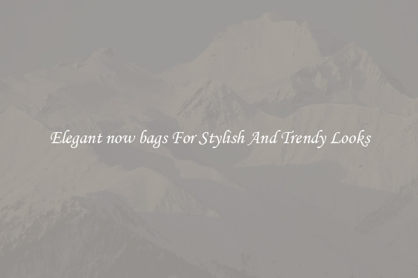 Elegant now bags For Stylish And Trendy Looks