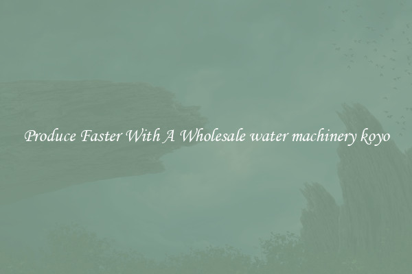 Produce Faster With A Wholesale water machinery koyo