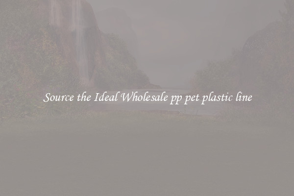Source the Ideal Wholesale pp pet plastic line