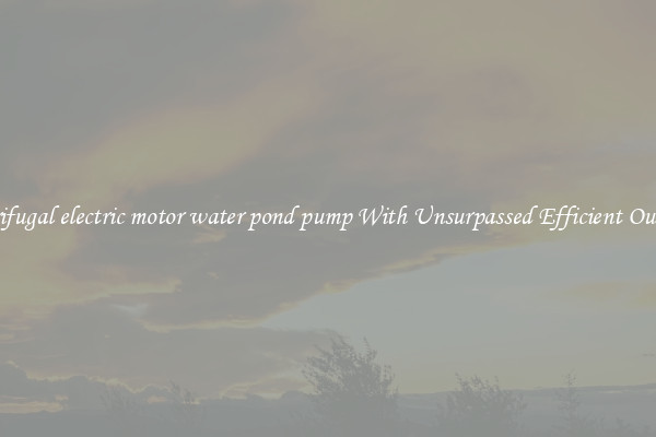 centrifugal electric motor water pond pump With Unsurpassed Efficient Outputs