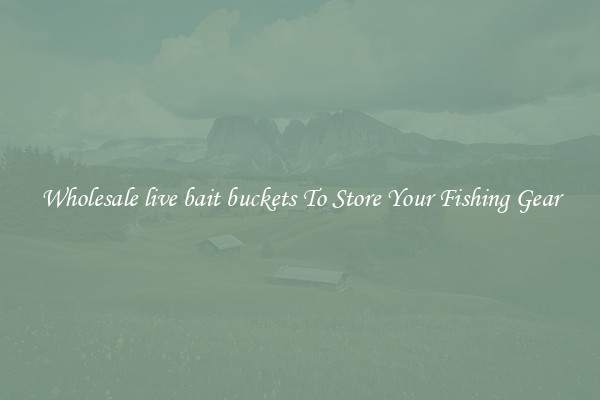 Wholesale live bait buckets To Store Your Fishing Gear
