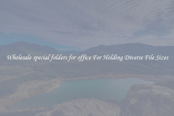 Wholesale special folders for office For Holding Diverse File Sizes