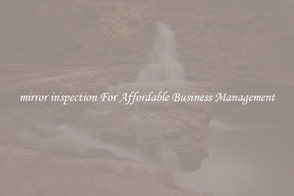 mirror inspection For Affordable Business Management