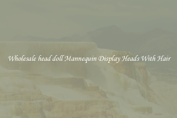 Wholesale head doll Mannequin Display Heads With Hair