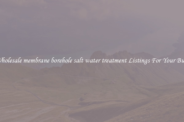 See Wholesale membrane borehole salt water treatment Listings For Your Business